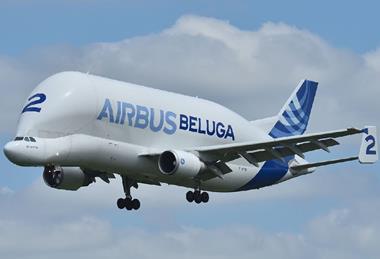 Beluga F-GSTB-c-Laurent Errera Creative Commons