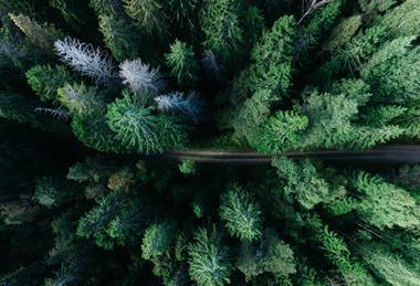 Carbon offset article