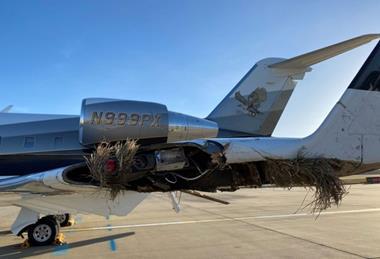 Challenger wing-strike-c-AAIB