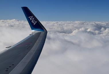 ANA wing-c-ANA Luke H Ozawa