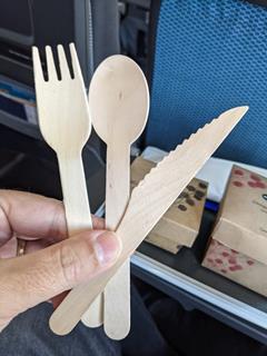SIA 737 Max Food
