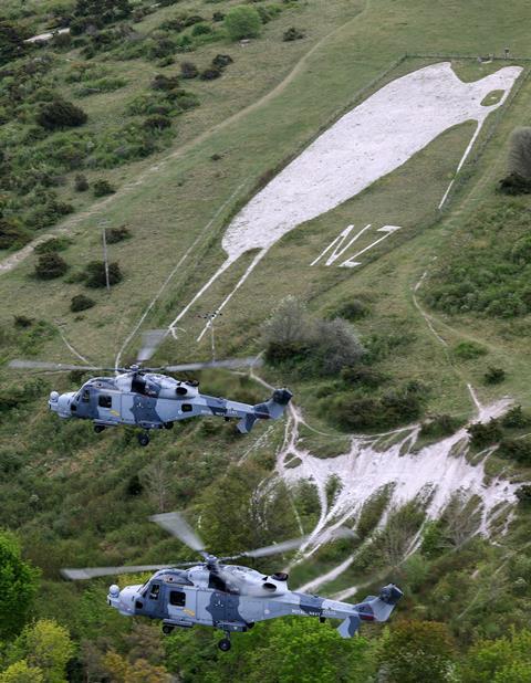 Wildcats Kiwi-c-Crown Copyright