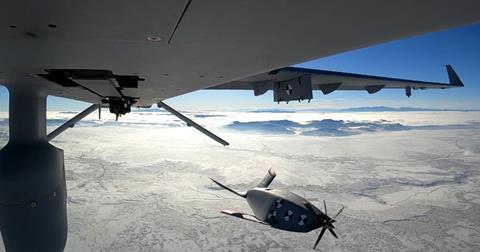 eaglet-takes-its-first-flight