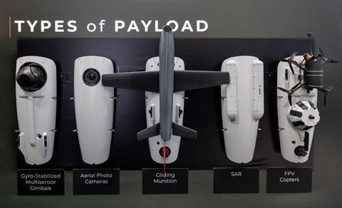 Skyeton UAV payloads