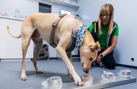 Sniffer dog-c-Finavia