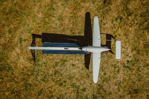 Raybird fromabove. Source_ Skyeton Press Office