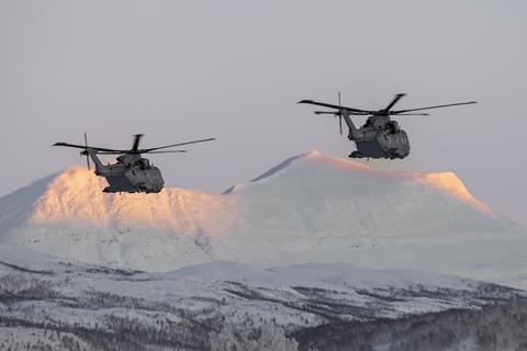 Merlin pair-c-Crown Copyright