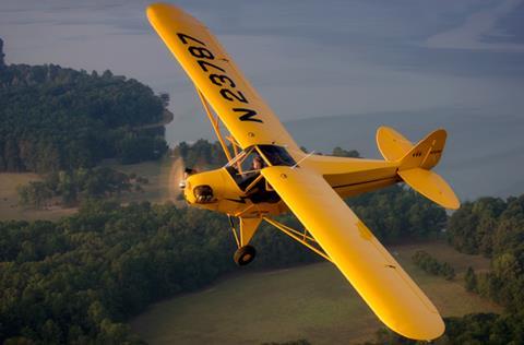 LSA Cub