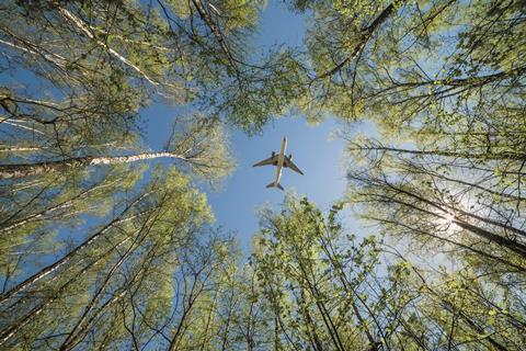 Aircraft and trees