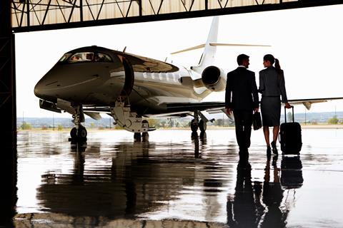 Falcon business jet passengers