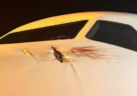 Delta bird-strike left side-c-NTSB via Delta Air Lines