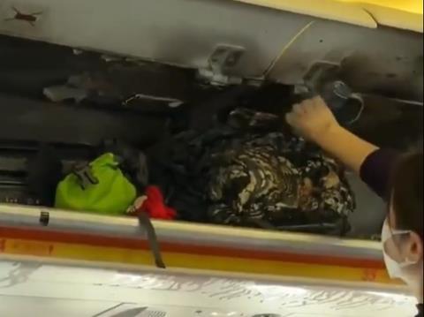 HK A320 bin fire-c-via Twitter X Credit unknown