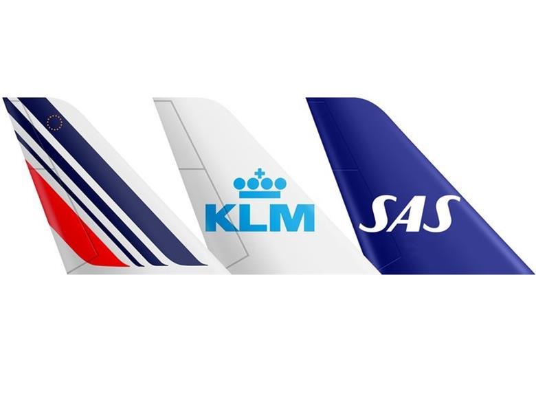 SAS enters SkyTeam codeshare pact with Air France-KLM | Flight Global