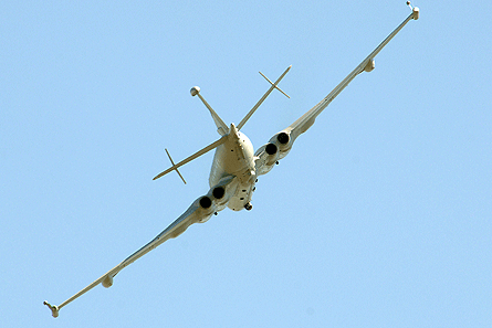 Nimrod 01