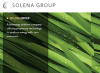 Solena-group